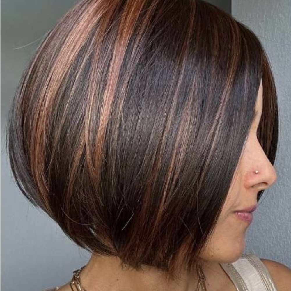 DAWN/ Midnight Cocoa/ Brown with red Highlights/synthetic HD lace front wig